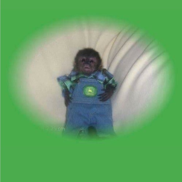 Meet your Posher - Picture 1 of 1